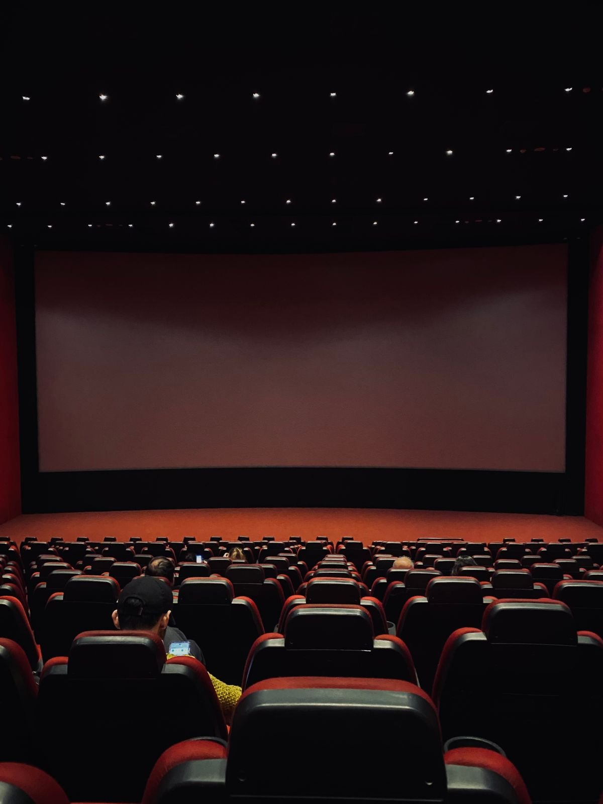 A dimly lit cinema hall with red seats facing the screen