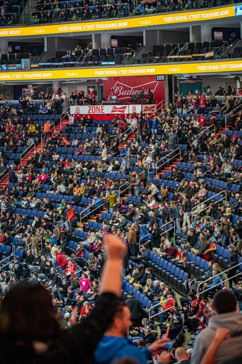 Cheering crowd at a basketball stadium