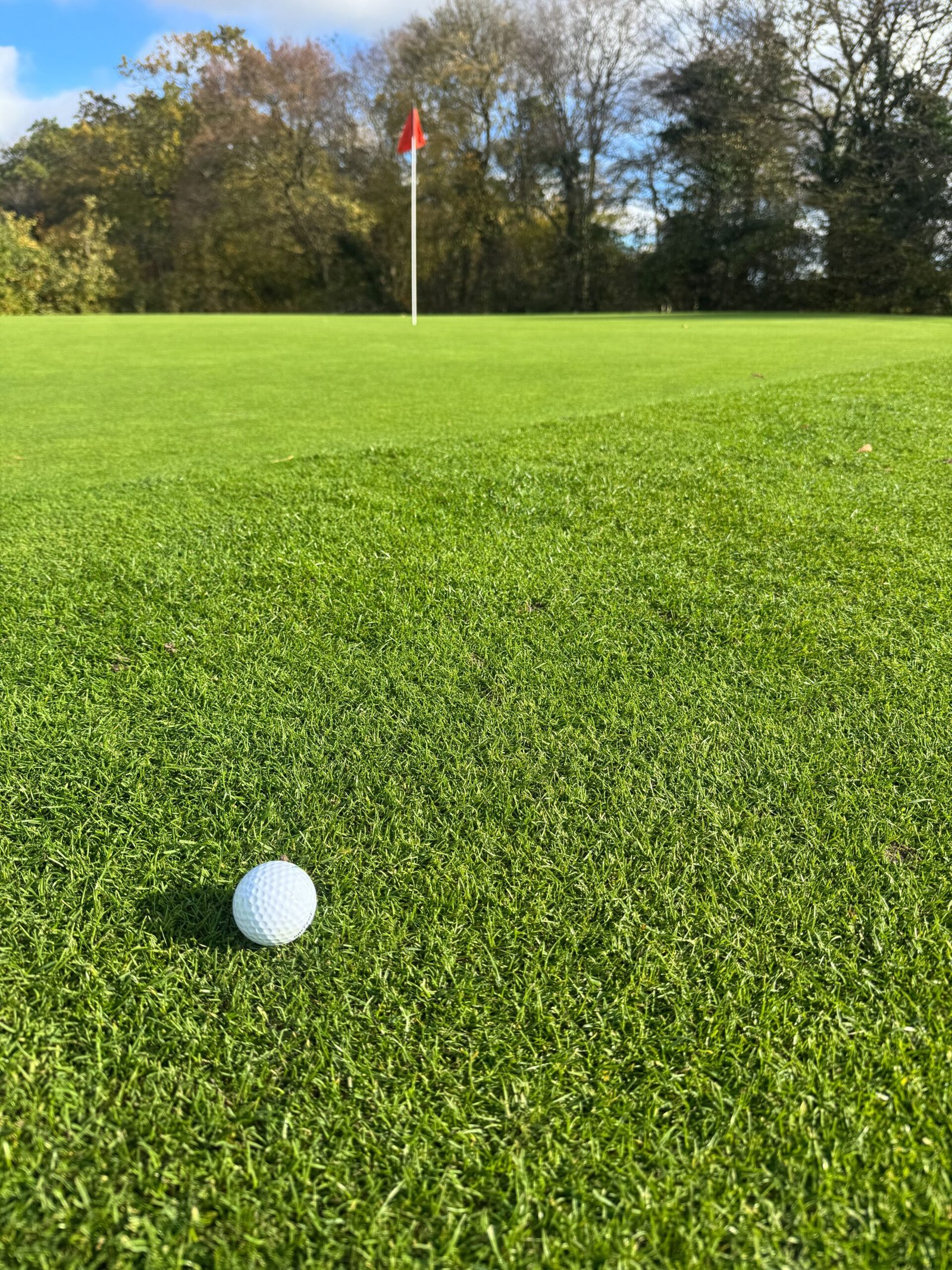 A golf ball resting inches from the hole on a lush green, evoking the 12 birdies and zero bogeys of Michael Kim’s sub-60 round (Photo: Pexels)