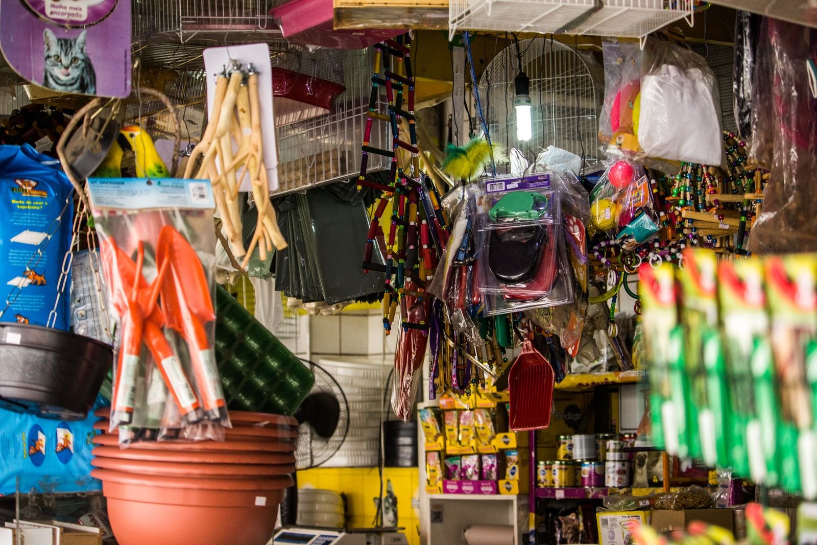 Pet supplies and animal products on display shelves inside a retail pet shop