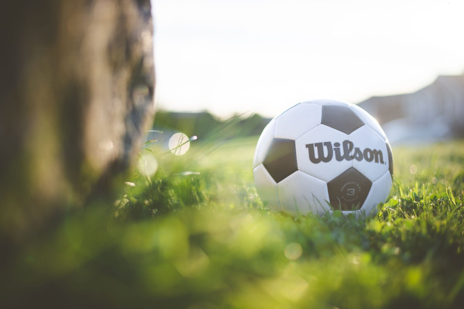 Close-up of a soccer ball on a sunlit grass field