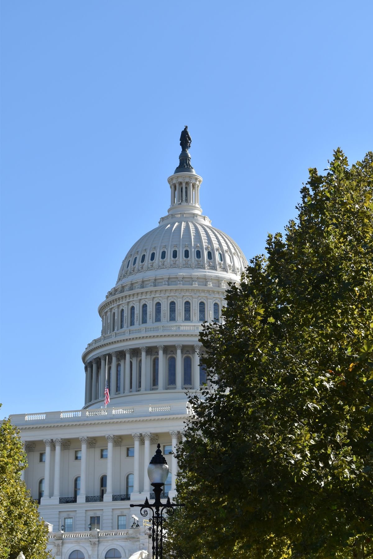 The United States Capitol building against a clear sky.